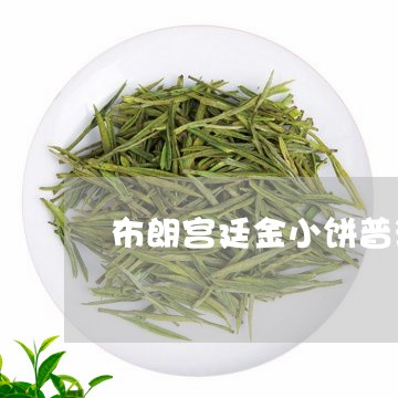 布朗宫廷金小饼普洱茶/2023100558371