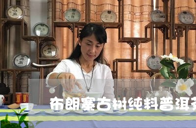 布朗寨古树纯料普洱茶/2023120618271