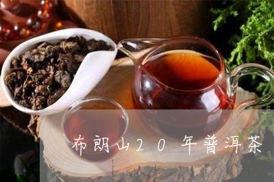 布朗山20年普洱茶/2023120473057