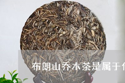 布朗山乔木茶是属于什么茶/2023051132706