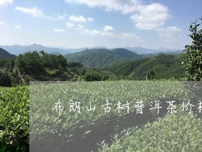 布朗山古树普洱茶价格357克价格/2023060340805