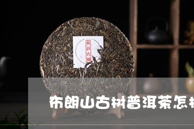 布朗山古树普洱茶怎样/2023062088241