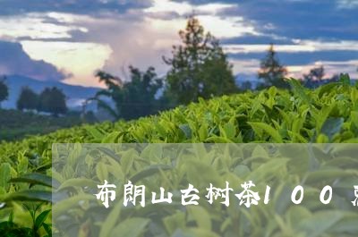 布朗山古树茶100克/2023092140414