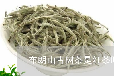 布朗山古树茶是红茶吗/2023061074150