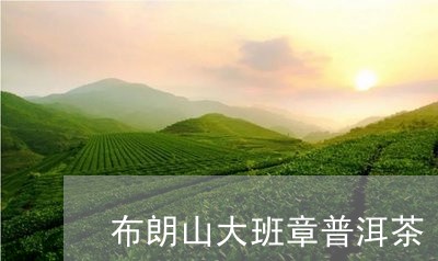 布朗山大班章普洱茶/2023082797278