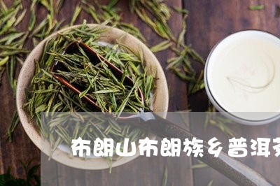 布朗山布朗族乡普洱茶/2023092908562