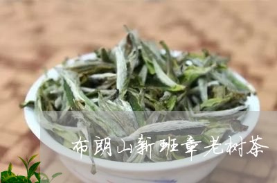 布朗山新班章老树茶/2023042526169