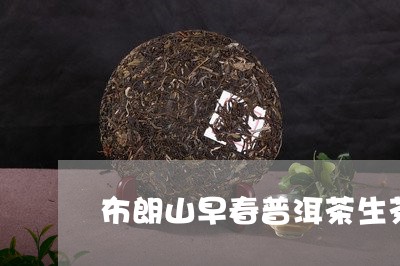 布朗山早春普洱茶生茶/2023080245136