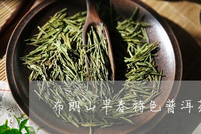 布朗山早春特色普洱茶/2023062738381