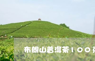 布朗山普洱茶100克/2023100626152