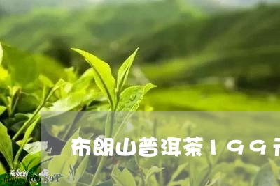 布朗山普洱茶199元/2023062746151