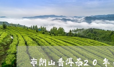 布朗山普洱茶20年多少钱/2023110251692