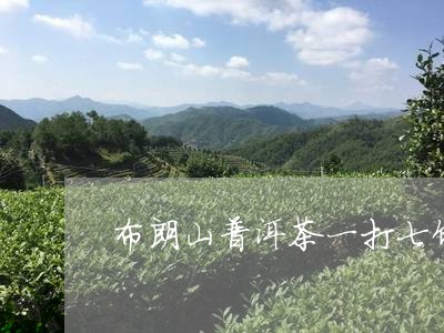 布朗山普洱茶一打七饼/2023092602028