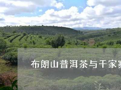 布朗山普洱茶与千家寨区别/2023051097503