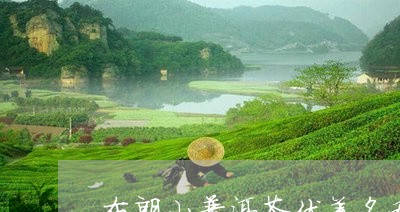 布朗山普洱茶优美名称概述/2023081528158