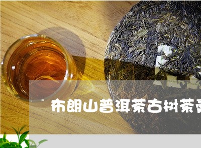 布朗山普洱茶古树茶膏/2023062364261