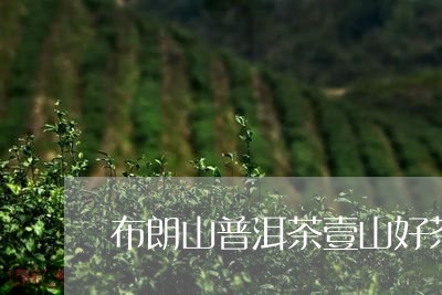 布朗山普洱茶壹山好茶/2023093011713