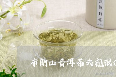 布朗山普洱茶央视报道/2023080255030