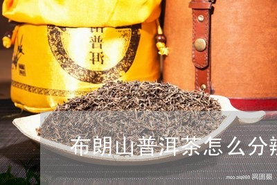 布朗山普洱茶怎么分辨/2023120617150