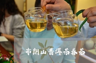 布朗山普洱茶春茶/2023102627048