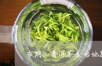 布朗山普洱茶是台地茶/2023100746471