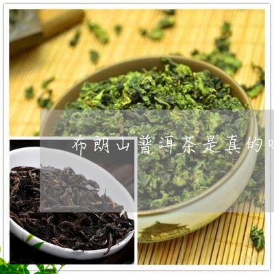 布朗山普洱茶是真的吗/2023092903856