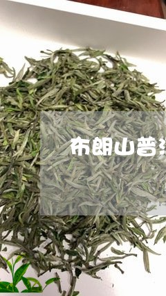 布朗山普洱茶是那个区/2023110547381