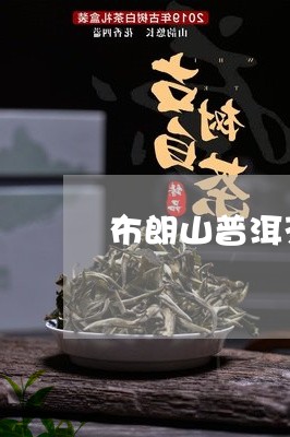 布朗山普洱茶有点酸味/2023062563705