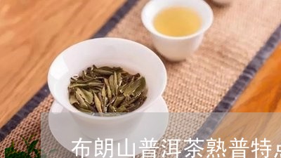 布朗山普洱茶熟普特点/2023062364057