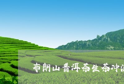 布朗山普洱茶生茶冲泡方法/2023082513927