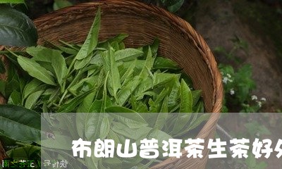 布朗山普洱茶生茶好处/2023100766127