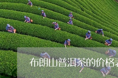 布朗山普洱茶的价格表/2023093044151