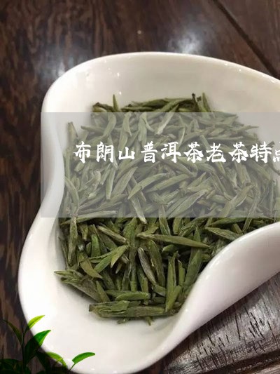 布朗山普洱茶老茶特点/2023100769380