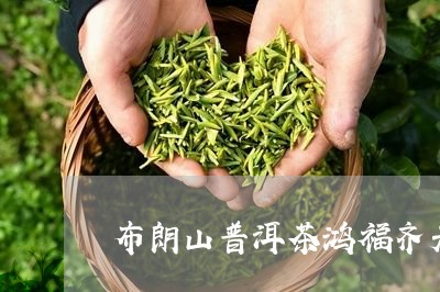 布朗山普洱茶鸿福齐天/2023062947279