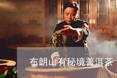 布朗山有秘境普洱茶/2023082608403