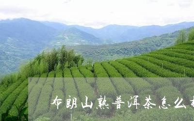 布朗山熟普洱茶怎么样/2023092703169