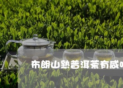 布朗山熟普洱茶有咸味/2023092862805