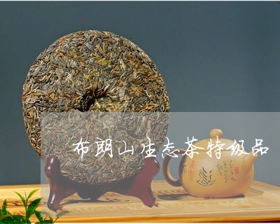 布朗山生态茶特级品/2023042241595