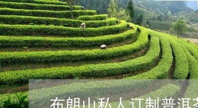 布朗山私人订制普洱茶多少钱/2023110591604