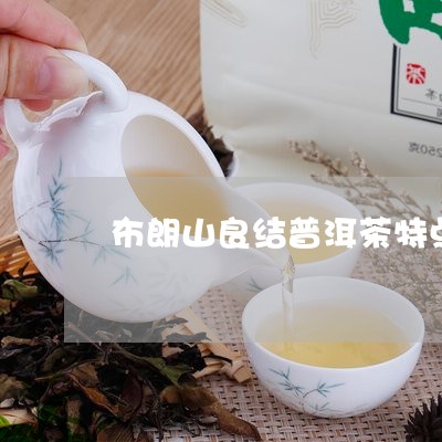 布朗山良结普洱茶特点/2023062142825