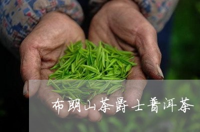 布朗山茶爵士普洱茶/2023070936292