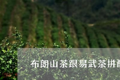 布朗山茶跟易武茶拼配/2023092319482