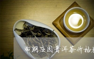 布朗庄园普洱茶价格表/2023112751704