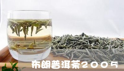 布朗普洱茶2005/2023091415027