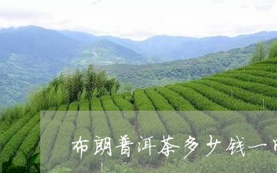 布朗普洱茶多少钱一斤/2023092631695