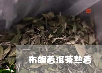 布朗普洱茶熟普/2023110592727