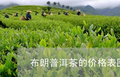 布朗普洱茶的价格表图片/2023110493941