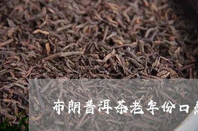 布朗普洱茶老年份口感/2023101773704