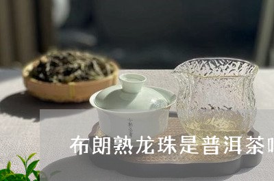 布朗熟龙珠是普洱茶吗/2023072486369