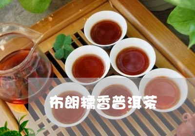 布朗糯香普洱茶/2023102660472